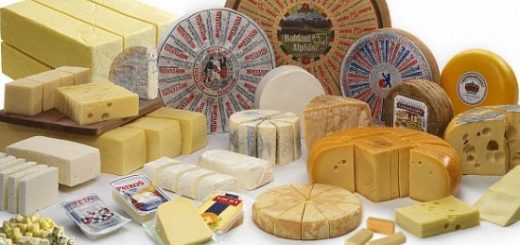 оборудование для производства сыра